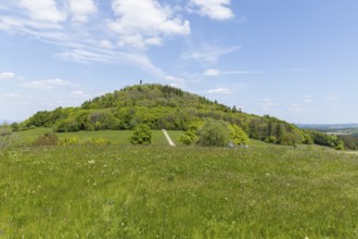 Geisingberg with observation tower, Altenberg, Osterzgebirge, Saxony, Germany
