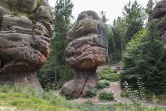 Natural monument Kelchsteine with mushroom rock Kelchstein near Oybin, Zittau Mountains, Saxony,