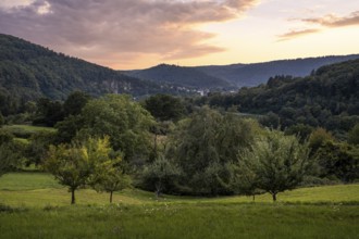 Landscape near Dilsberg in the Neckartal-Odenwald nature park. In the background, houses in
