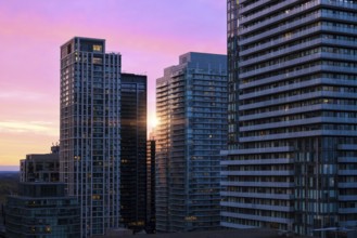 Toronto condominiums in a trendy middle and upper class district near Yonge and Eglinton midtown