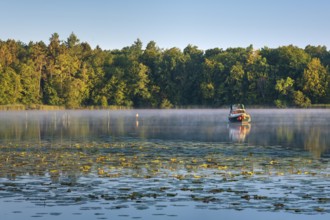 Morning atmosphere at Lake Grienerick, boat anchored, morning mist on the water, water lilies in
