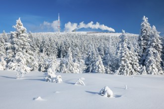 Deep snowy winter landscape with snow-covered spruce forest, view of the Brocken, the Brocken