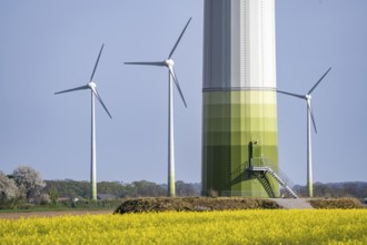 Wind turbines, wind farm, near Kerken, rape field in bloom, Lower Rhine, North Rhine-Westphalia,