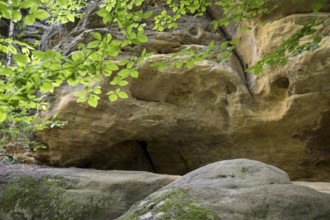 Bizarre rocks on the hiking trail to Kleiner Bärenstein, Saxon Switzerland, Saxony, Germany