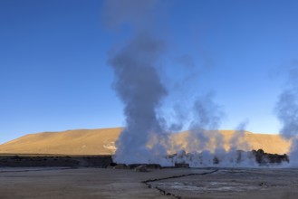 Chile, San Pedro de Atacama, Tatio Geysers in Atacama Desert