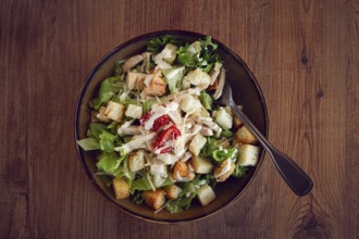 Classic Caesar salad, close-up, natural light, selective focus, horizontal