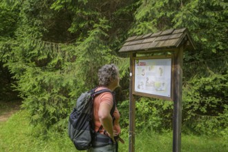 Hiker looking at a signpost about the danger of ticks (Ixodida), Tramonti di Sopra, Province of