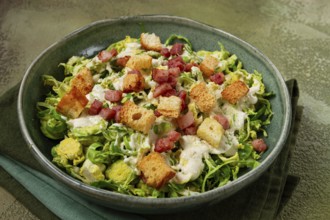 Brussels sprouts Caesar salad, with bacon and croutons, healthy food, homemade, no people