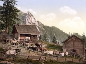 Emsigenalp with Sennhuetten, Pilatus, Switzerland, Historical, digitally restored reproduction from