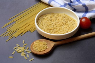 Semi di Orzo, Italian pasta in the form of barley grains, and spaghetti, pasta from Italy