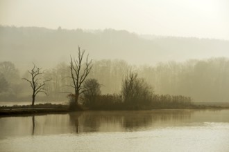 Morning mood in the Naturschutzgebiet Flachsee nature reserve in Rottenschwil, Canton of Aargau,