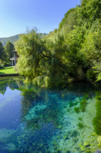 Blauer Quelltopf, Urspring spring, Urspring near Schelklingen, Swabian Alb, Baden-Württemberg,