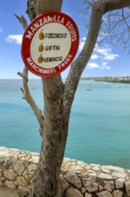 Warning sign Sign warning against consumption of deadly poisonous fruits Beach apple of manchinel