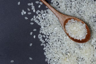 Rice, white rice grains in wooden spoon