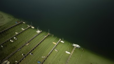 Extremely low water on the island of Reichenau in Lake Constance April 2025