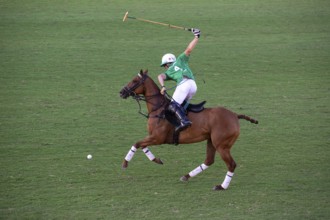 Scene from the 131st Argentine Open Polo Championship (Spanish: Campeonato Argentino Abierto de