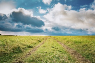 Lonely dirt road surrounded by grass under a blue sky with fluffy clouds. View of a grass dirt road