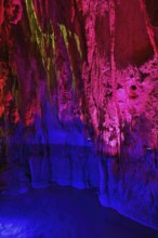 Stalactites illuminated by coloured light, stalactite cave, Höllgrotten, Baar, Canton Zug,