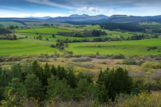 Auvergne Volcanoes Regional Natural Park. The Narse d'Espinasse (bog), in background the Monts Dore
