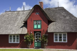 Traditional Frisian thatched house at Süderende on the Island of Föhr, Nordfriesland, North Frisia,