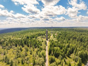 An observation tower rises in the middle of a dense forest under a blue sky with white clouds,