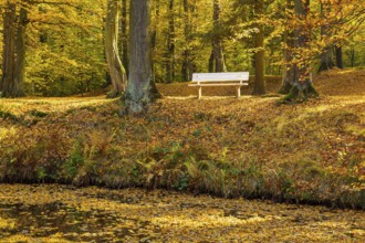 Castle park of Hermsdorf Castle in autumn, Ottendorf-Ockrilla, Saxony, Germany
