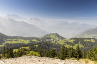 View from the summit of Flügenspitz to Arvenbüel with Chapf above Lake Walen, in the background