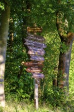 Hiking trail signs, Werra Burgensteig Trail, Nentershausen, Richelsdorfer Gebirge, North Hesse,