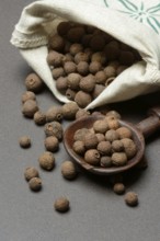Allspice, peppercorns in wooden spoon, Pimenta dioica