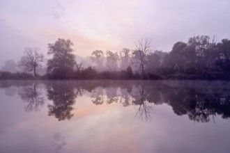 Morning atmosphere at the Flachsee, trees reflected in the water, Rottenschwil, Canton Aargau,