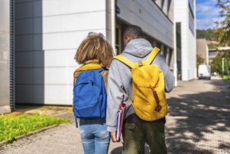 Rear view of two multi-ethnic students walking along the university campus