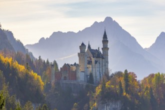 Fairytale castle surrounded by dense, autumnal forests and mountains, Neuschwanstein, Schwangau,