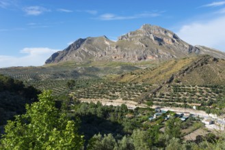 Majestic mountains and green landscape with scattered houses and trees under a clear blue sky, Alto