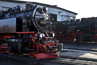 Steam locomotives at the engine shed, Harz narrow-gauge railway, abbreviated HSB, Wernigerode