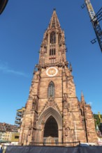 The beautiful Freiburg Minster in Freiburg im Breisgau, Germany