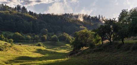 Landscape in the Odenwald with trees, meadows, forest and hills. Sunshine after rain. In the
