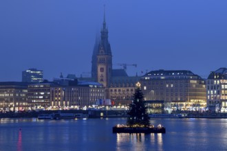Christmas tree on the Inner Alster Lake, Jungfernstieg in the background, Hamburg, Germany