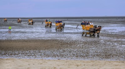 Mudflats in the Wadden Sea from the journey to the island of Neuwerk in the district of Duhnen,