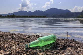Empty beer bottle lying on the shore of a lake, rubbish, pollution, sunny, Lake Kochel, behind it