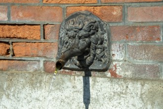 Fountain in the shape of a lion's head. Esteil village. Livradois-Forez Regional Nature Park. Puy