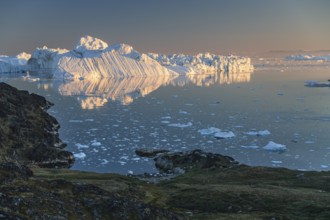 Icebergs and ice floes reflected in the water, summer, midnight sun, Jakobshavn glacier and ice
