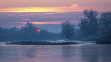 Sunrise on the Middle Elbe, winter landscape in frost, river landscape, fog, reflection of the sun,