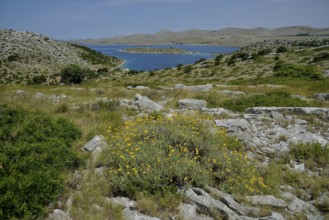 View from Levrnaka island over the Kornati Islands, Adriatic Sea, Kornati Islands National Park,