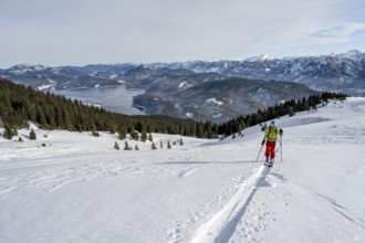 Ski tourers ascending Simetsberg, view of Walchensee and mountain panorama, Estergebirge, Bavarian
