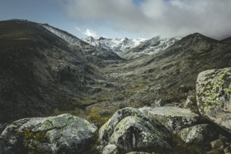 Sierra de Gredos, Ávila, Castilla y León, Spain