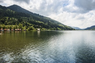 Bühl, Großer Alpsee, Immenstadt, Oberallgäu, Allgäu, Swabia, Bavaria, Germany