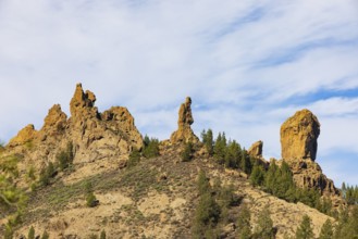 Rural del Nublo nature park Park, Roque Nublo, basalt rock El Fraile, Gran Canaria, Canary Islands,