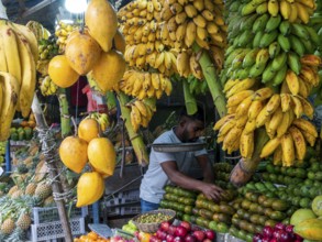 Fruit stand with colourful tropical fruits, bananas, mangoes, Sri Lanka