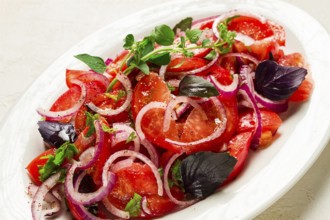 Fresh tomato salad, with red onion, spices and herbs, top view, close-up, homemade