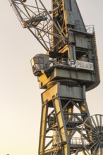 Old harbour crane in warm evening light, industrial charm and robust metal, Hamburg, Germany